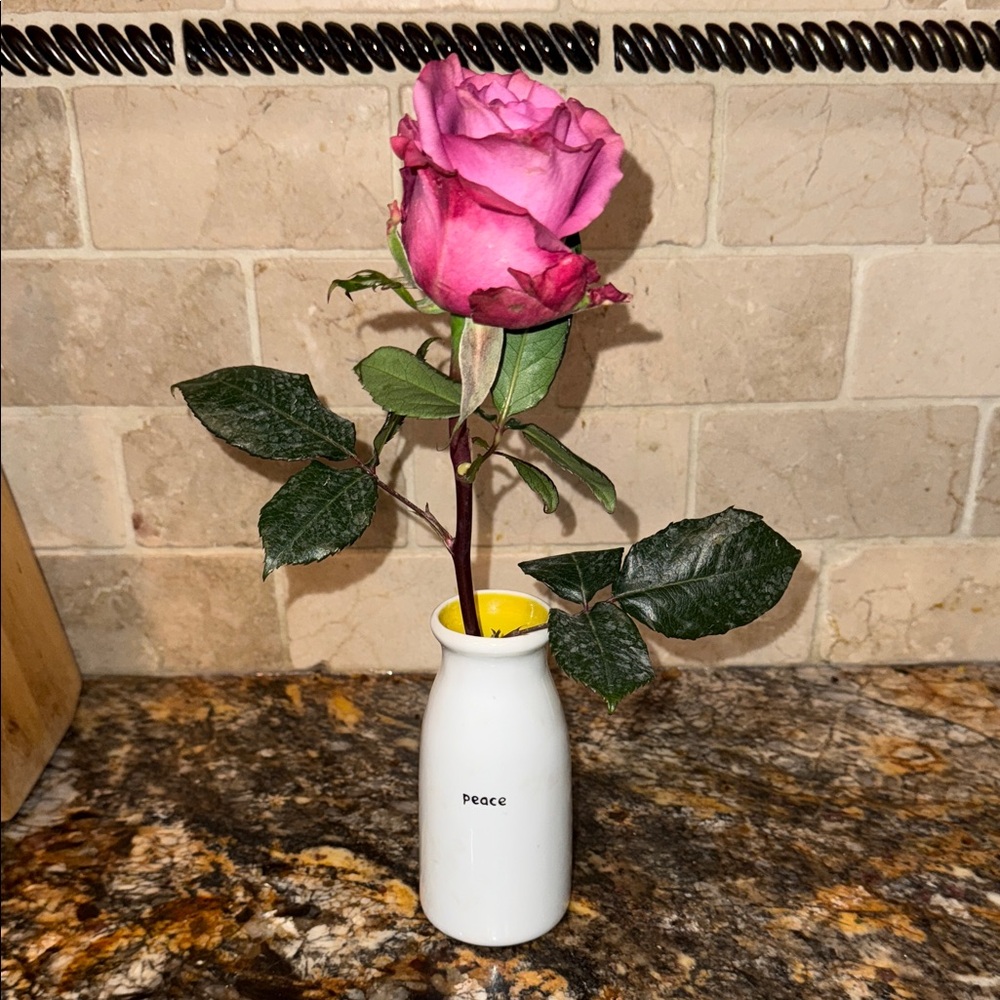 Department 56 “Peace” White Milk Bottle Vase